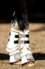 228 Show-time Gold Rush Glitter  tréning ínvédő csizma kis méret pezsgő színű 4XS ló lábvédelem