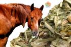 Izomlázra, kötött izomzatra gyógynövények lovaknak (RELAMUS-D) 1,2 kg