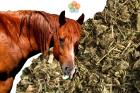Túlsúlyos lovaknak fogyasztó-méregtelenítő gyógynövények (DONNA) 1,2 kg